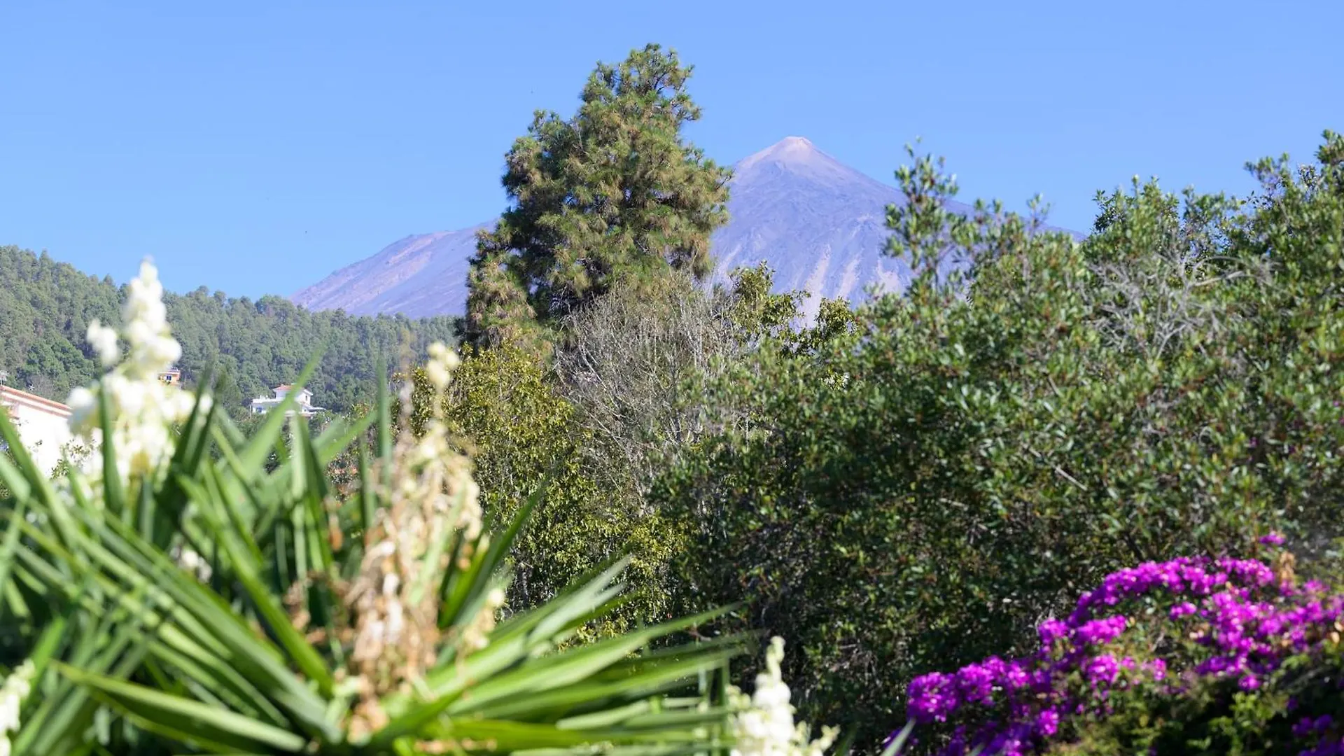 הוילה El Amparo Teide Eco Harmony בית נופש